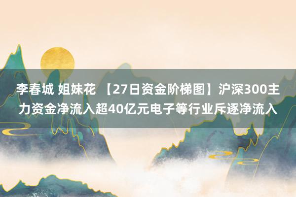 李春城 姐妹花 【27日资金阶梯图】沪深300主力资金净流入超40亿元电子等行业斥逐净流入