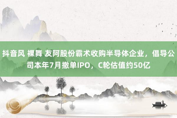 抖音风 裸舞 友阿股份霸术收购半导体企业，倡导公司本年7月撤单IPO，C轮估值约50亿