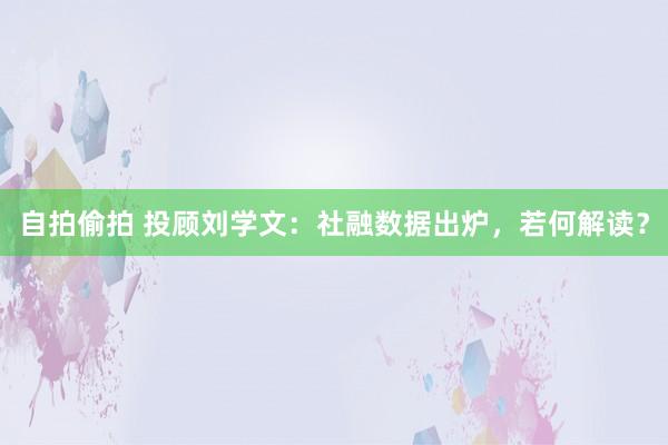 自拍偷拍 投顾刘学文：社融数据出炉，若何解读？