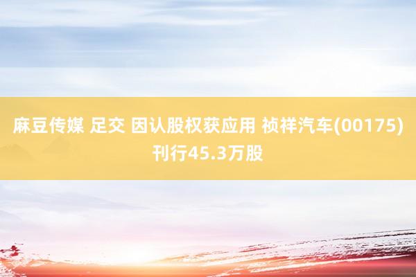 麻豆传媒 足交 因认股权获应用 祯祥汽车(00175)刊行45.3万股