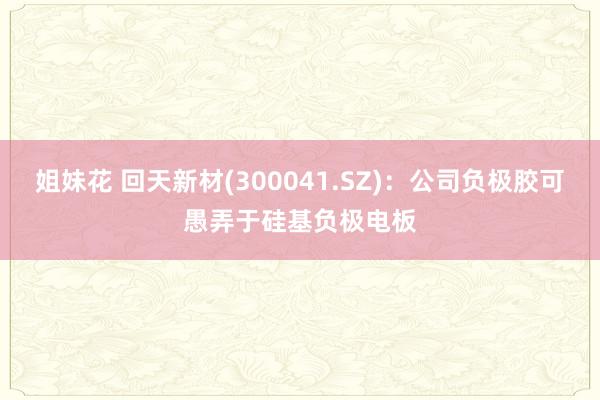 姐妹花 回天新材(300041.SZ)：公司负极胶可愚弄于硅基负极电板