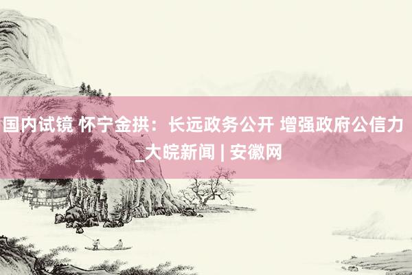 国内试镜 怀宁金拱：长远政务公开 增强政府公信力  _大皖新闻 | 安徽网