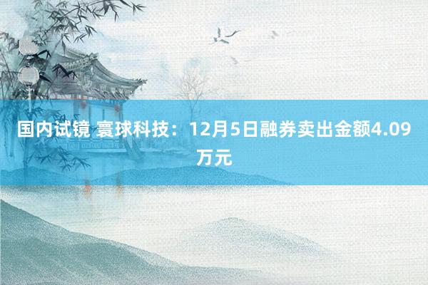 国内试镜 寰球科技：12月5日融券卖出金额4.09万元