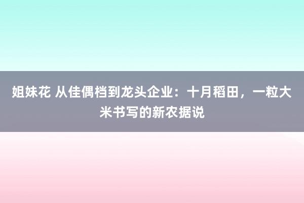 姐妹花 从佳偶档到龙头企业：十月稻田，一粒大米书写的新农据说