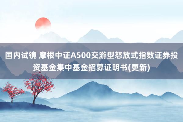 国内试镜 摩根中证A500交游型怒放式指数证券投资基金集中基金招募证明书(更新)