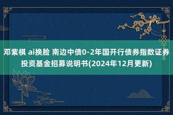 邓紫棋 ai换脸 南边中债0-2年国开行债券指数证券投资基金招募说明书(2024年12月更新)