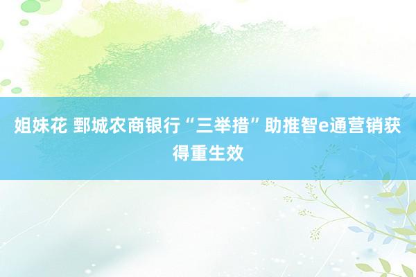 姐妹花 鄄城农商银行“三举措”助推智e通营销获得重生效