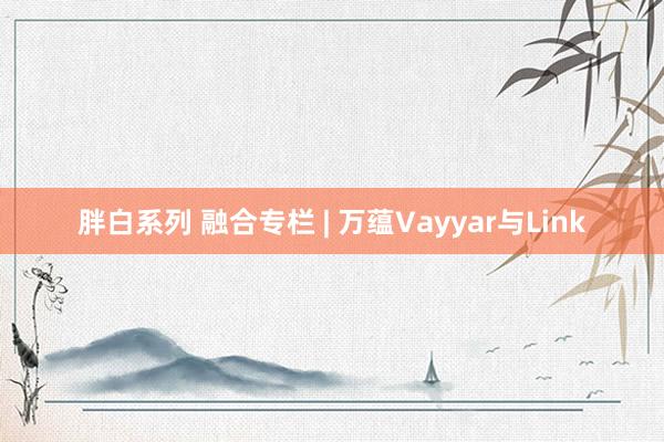 胖白系列 融合专栏 | 万蕴Vayyar与Link