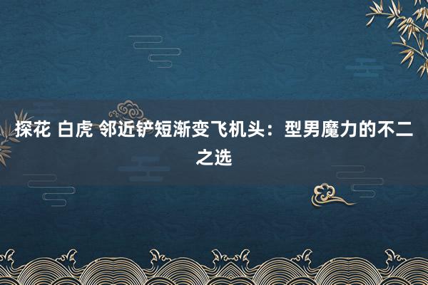 探花 白虎 邻近铲短渐变飞机头：型男魔力的不二之选