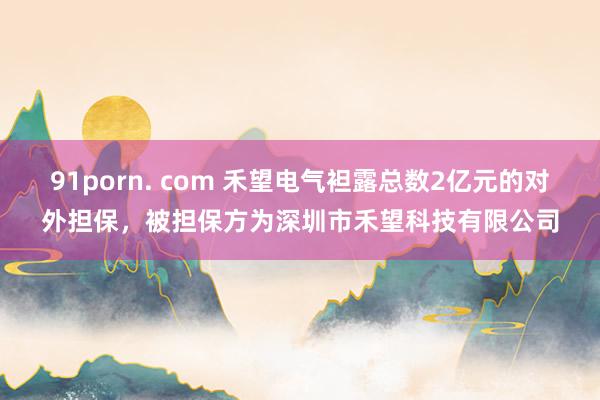 91porn. com 禾望电气袒露总数2亿元的对外担保，被担保方为深圳市禾望科技有限公司