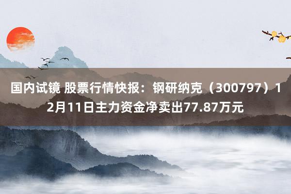 国内试镜 股票行情快报：钢研纳克（300797）12月11日主力资金净卖出77.87万元