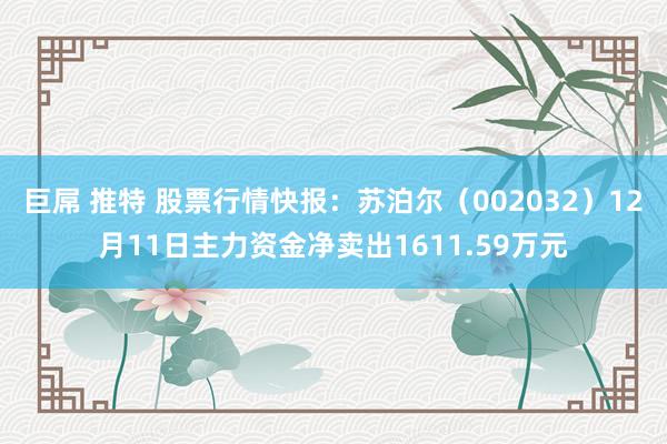 巨屌 推特 股票行情快报：苏泊尔（002032）12月11日主力资金净卖出1611.59万元