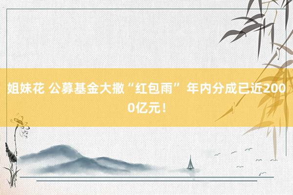 姐妹花 公募基金大撒“红包雨” 年内分成已近2000亿元！