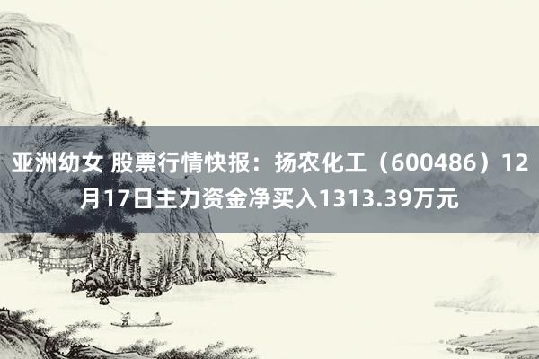 亚洲幼女 股票行情快报：扬农化工（600486）12月17日主力资金净买入1313.39万元