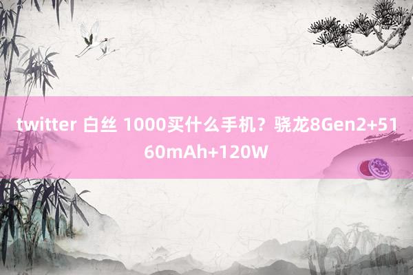 twitter 白丝 1000买什么手机？骁龙8Gen2+5160mAh+120W