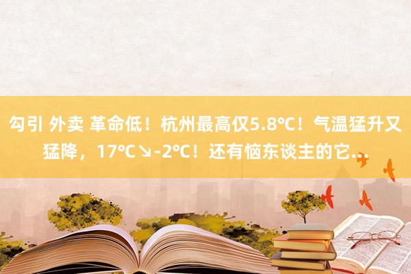 勾引 外卖 革命低！杭州最高仅5.8℃！气温猛升又猛降，17℃↘-2℃！还有恼东谈主的它...