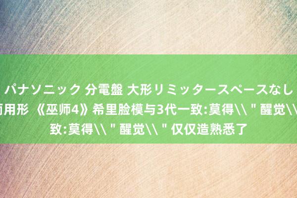 パナソニック 分電盤 大形リミッタースペースなし 露出・半埋込両用形 《巫师4》希里脸模与3代一致:莫得\＂醒觉\＂仅仅造熟悉了