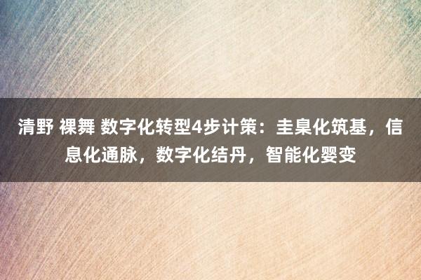 清野 裸舞 数字化转型4步计策：圭臬化筑基，信息化通脉，数字化结丹，智能化婴变