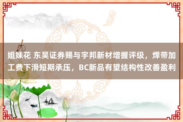 姐妹花 东吴证券赐与宇邦新材增握评级，焊带加工费下滑短期承压，BC新品有望结构性改善盈利