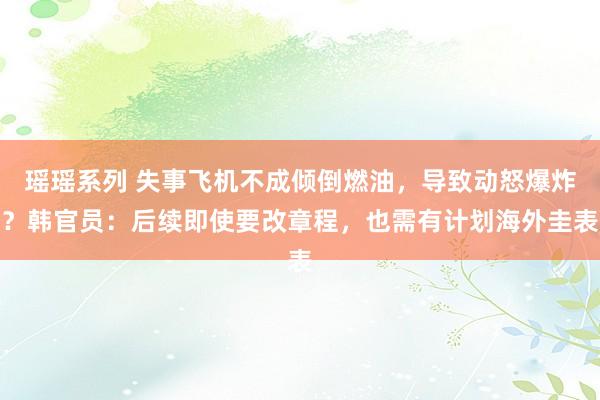 瑶瑶系列 失事飞机不成倾倒燃油，导致动怒爆炸？韩官员：后续即使要改章程，也需有计划海外圭表