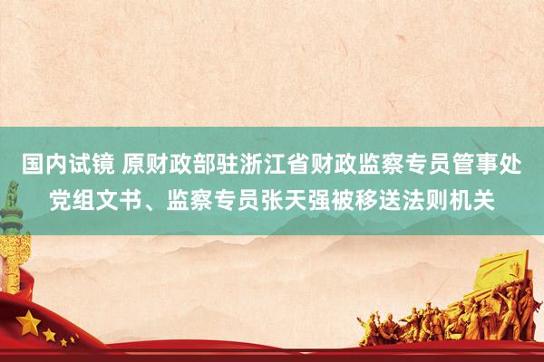 国内试镜 原财政部驻浙江省财政监察专员管事处党组文书、监察专员张天强被移送法则机关