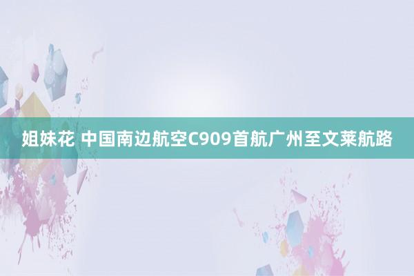 姐妹花 中国南边航空C909首航广州至文莱航路