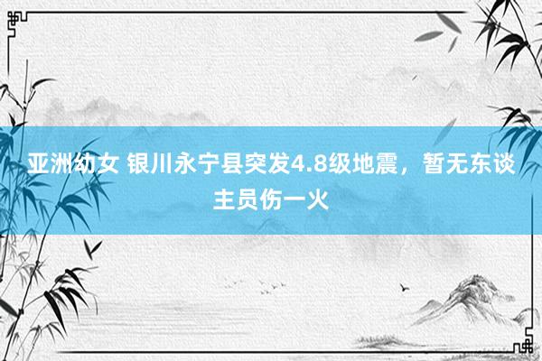 亚洲幼女 银川永宁县突发4.8级地震，暂无东谈主员伤一火