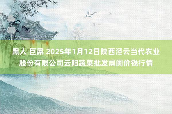 黑人 巨屌 2025年1月12日陕西泾云当代农业股份有限公司云阳蔬菜批发阛阓价钱行情