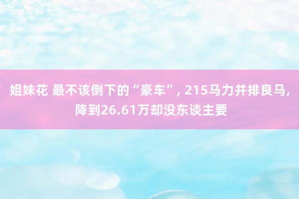 姐妹花 最不该倒下的“豪车”， 215马力并排良马， 降到26.61万却没东谈主要