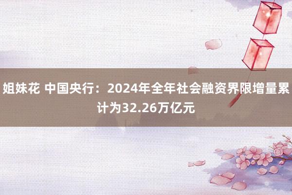 姐妹花 中国央行：2024年全年社会融资界限增量累计为32.26万亿元