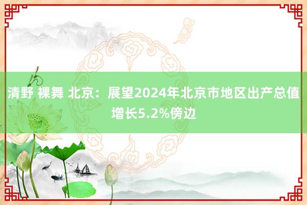 清野 裸舞 北京：展望2024年北京市地区出产总值增长5.2%傍边