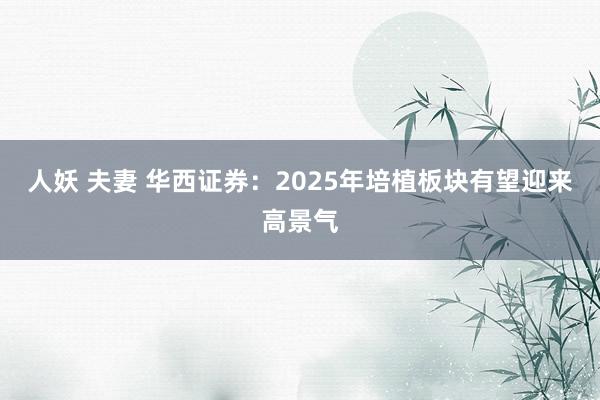 人妖 夫妻 华西证券：2025年培植板块有望迎来高景气